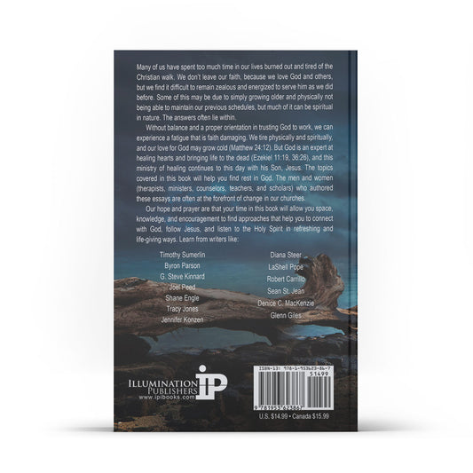 Journey of the Soul - Illumination Publishers