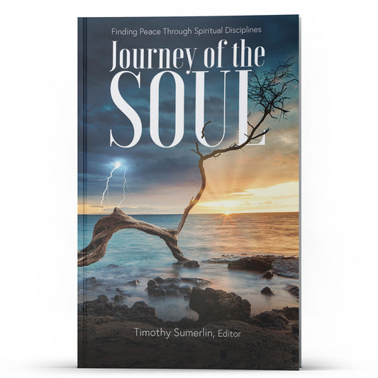 Journey of the Soul - Illumination Publishers