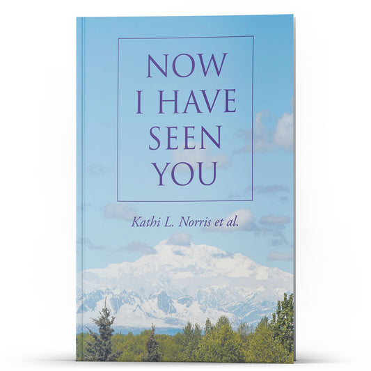 Now I Have Seen You - Illumination Publishers