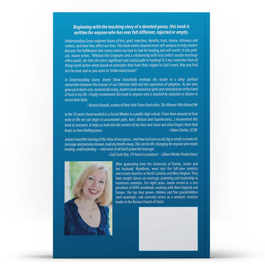 Understanding Goose - Illumination Publishers