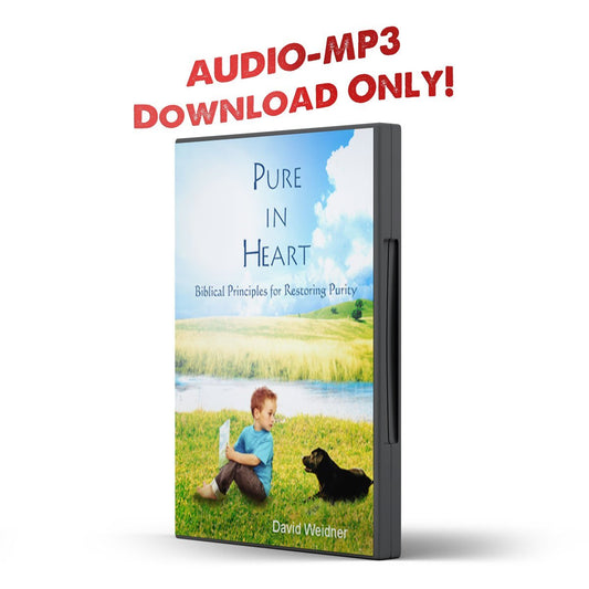Pure In Heart: Biblical Principles for Restoring Purity - Illumination Publishers