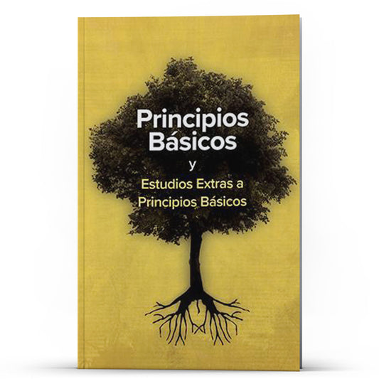 Principios Básicos